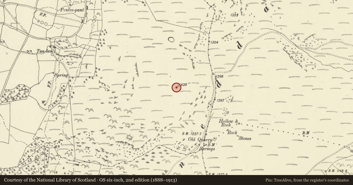 Ordnance Survey six-inch map, 2nd edition (1888–1913) covering the location of Carneddau round cairns, Glascwm, Powys, with a pin at the register's coordinates