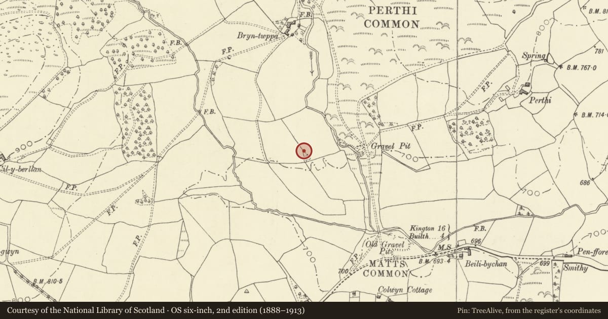Ordnance Survey six-inch map, 2nd edition (1888–1913) covering the location of Bryntwppa stone row, Glascwm, Powys, with a pin at the register's coordinates
