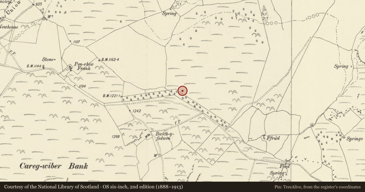 Ordnance Survey six-inch map, 2nd edition (1888–1913) covering the location of Ffrwd standing stone, Penybont, Powys, with a pin at the register's coordinates