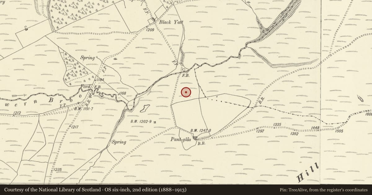 Ordnance Survey six-inch map, 2nd edition (1888–1913) covering the location of Gilwern Brook round barrow, Gladestry, Powys, with a pin at the register's coordinates