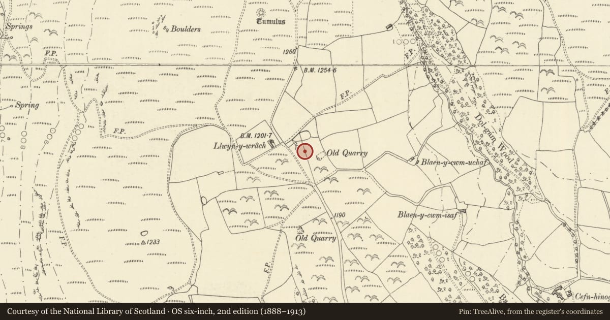 Ordnance Survey six-inch map, 2nd edition (1888–1913) covering the location of Llwyn-y-wrach standing stone, Aberedw, Powys, with a pin at the register's coordinates