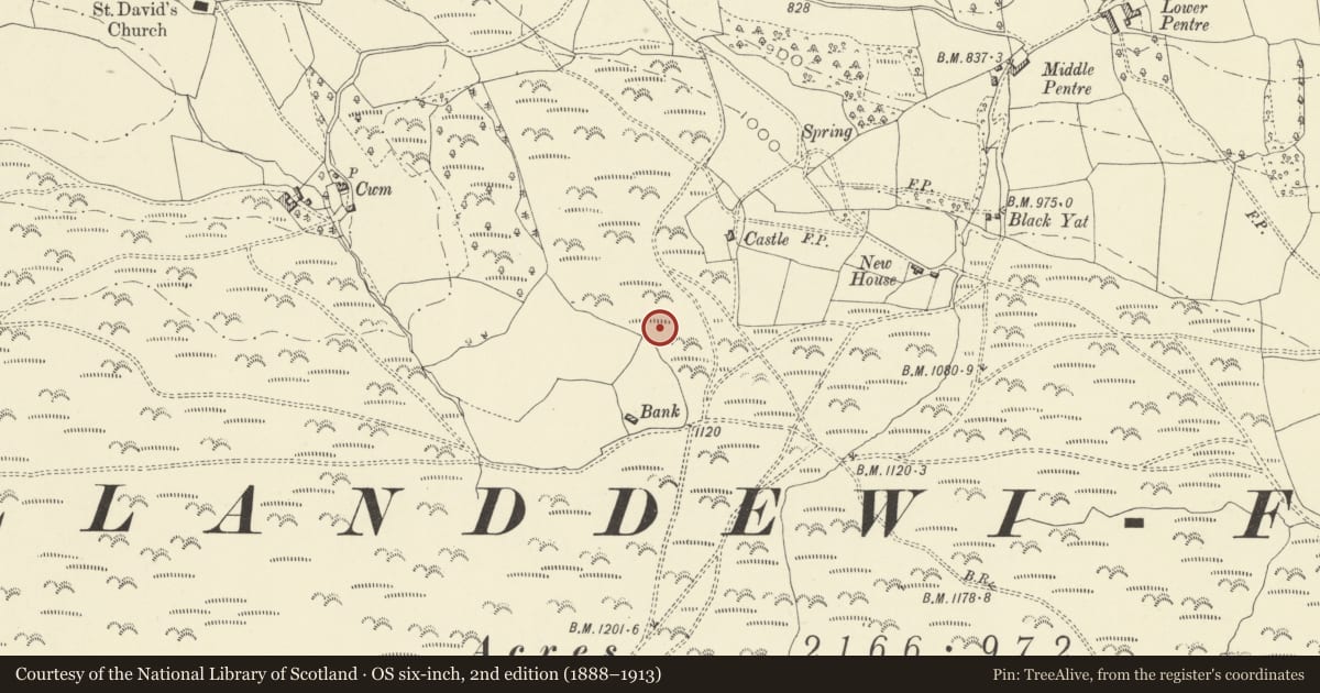 Ordnance Survey six-inch map, 2nd edition (1888–1913) covering the location of Begwns standing stone, Painscastle, Powys, with a pin at the register's coordinates