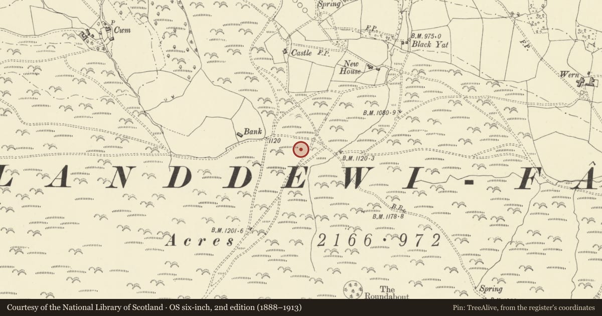 Ordnance Survey six-inch map, 2nd edition (1888–1913) covering the location of Begwns round cairn, Painscastle, Powys, with a pin at the register's coordinates