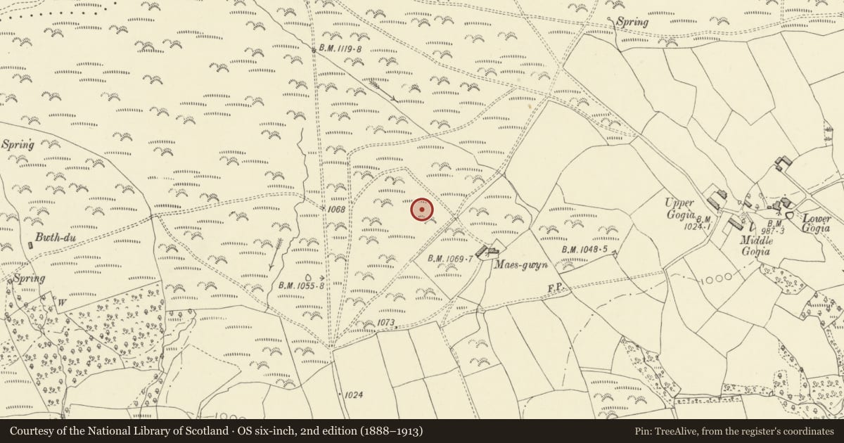 Ordnance Survey six-inch map, 2nd edition (1888–1913) covering the location of Maesgwyn round barrow, Glasbury, Powys, with a pin at the register's coordinates