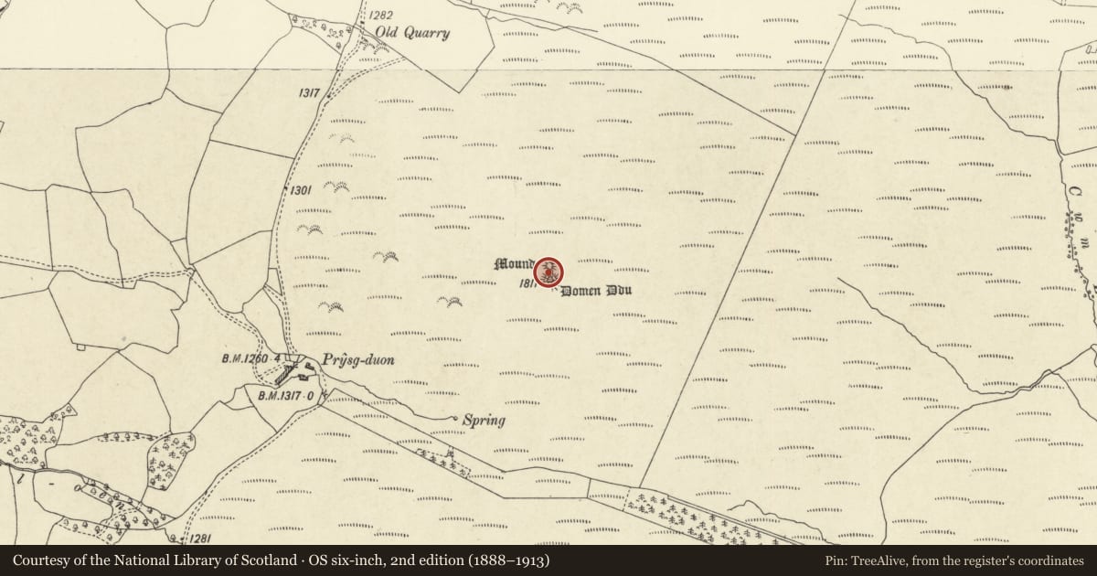 Ordnance Survey six-inch map, 2nd edition (1888–1913) covering the location of Domen-ddu round barrows, Abbey Cwmhir, Powys, with a pin at the register's coordinates