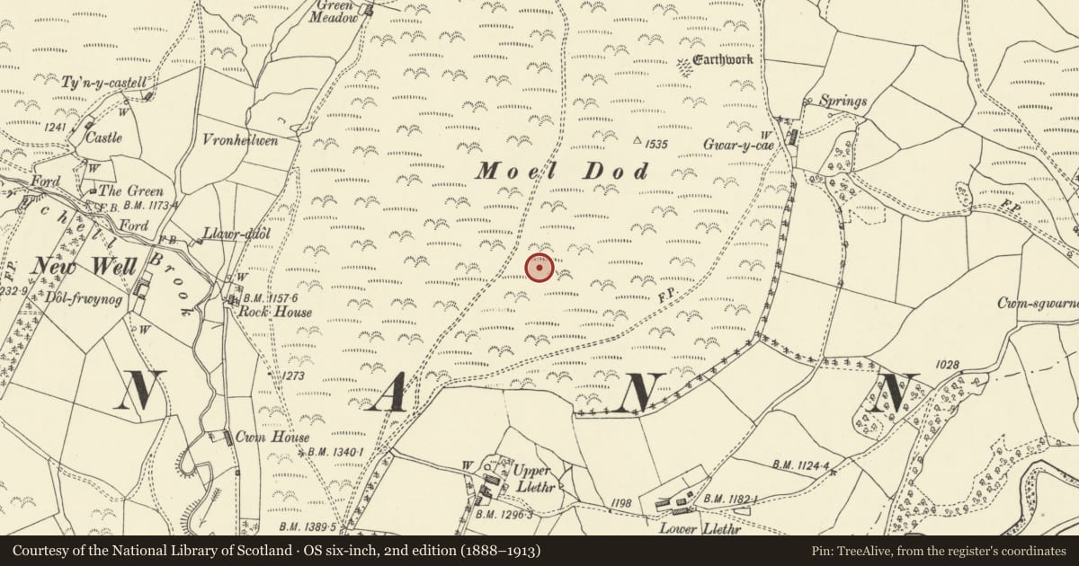 Ordnance Survey six-inch map, 2nd edition (1888–1913) covering the location of Moel Dod round barrow, Llanbadarn Fynydd, Powys, with a pin at the register's coordinates