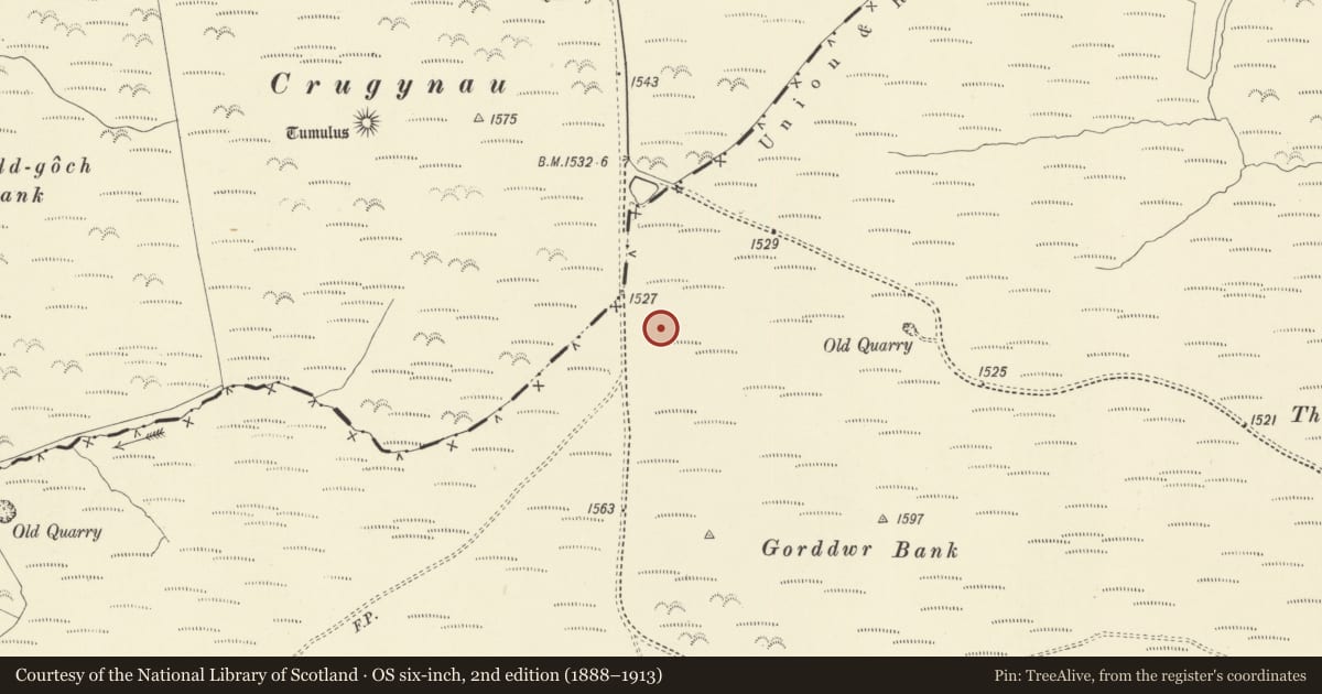 Ordnance Survey six-inch map, 2nd edition (1888–1913) covering the location of Round Barrow, Beguildy, Powys, with a pin at the register's coordinates