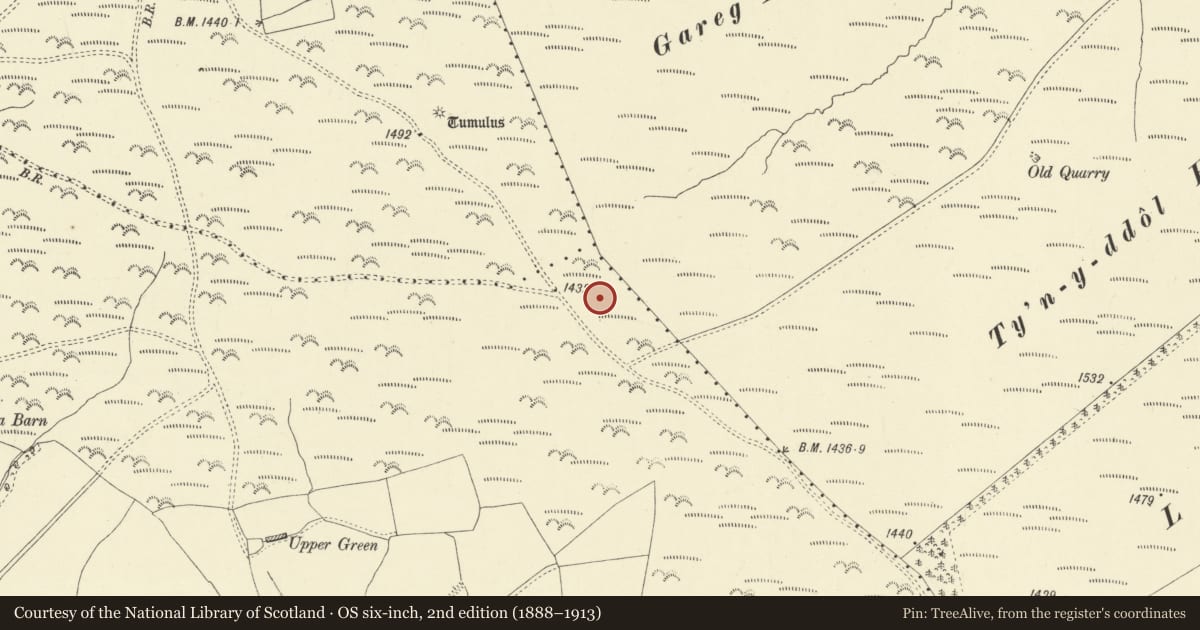 Ordnance Survey six-inch map, 2nd edition (1888–1913) covering the location of Round Barrow to W of Ty'n-y-ddol Hill, Llanbister, Powys, with a pin at the register's coordinates