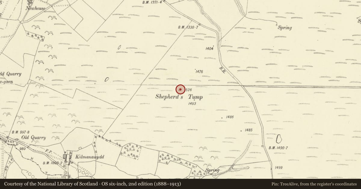 Ordnance Survey six-inch map, 2nd edition (1888–1913) covering the location of Shepherd's Tump round barrow, Llanfihangel Rhydithon, Powys, with a pin at the register's coordinates