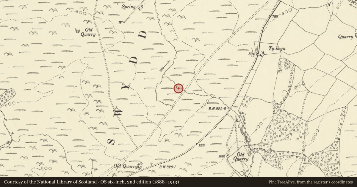 Ordnance Survey six-inch map, 2nd edition (1888–1913) covering the location of Penybont Common Roman road and early turnpike road, Powys, with a pin at the register's coordinates