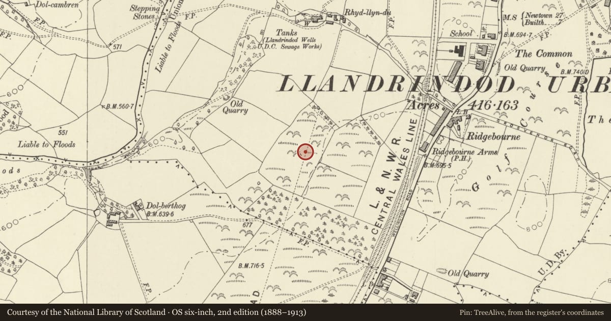 Ordnance Survey six-inch map, 2nd edition (1888–1913) covering the location of Llandrindod Wells Roman road, Powys, with a pin at the register's coordinates