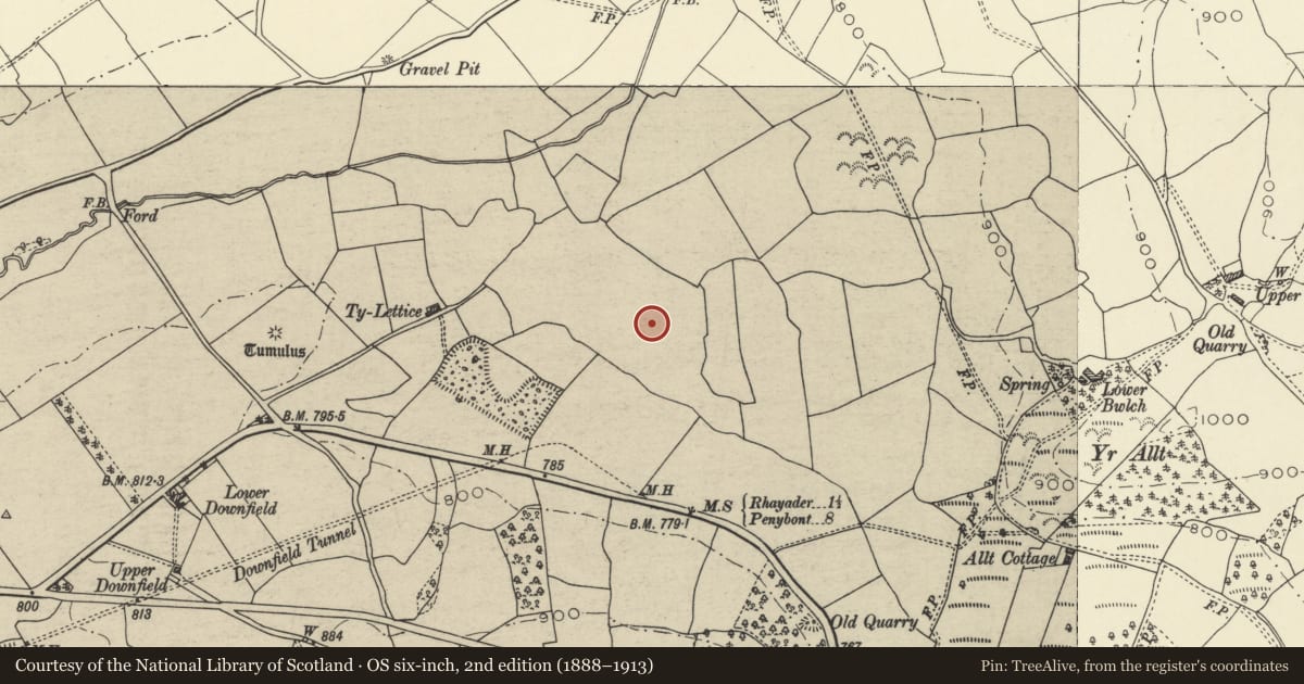 Ordnance Survey six-inch map, 2nd edition (1888–1913) covering the location of Ty Lettice Roman road, Nantmel, Powys, with a pin at the register's coordinates