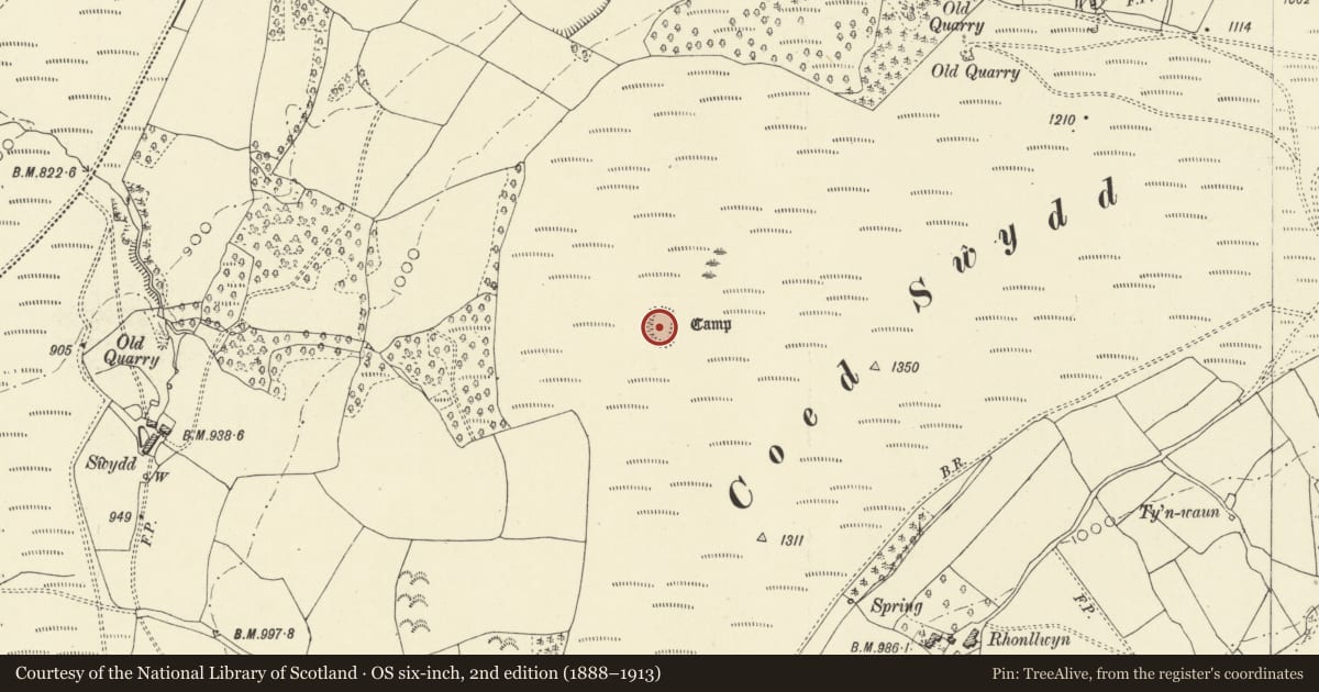 Ordnance Survey six-inch map, 2nd edition (1888–1913) covering the location of Coed-swydd enclosure, Penybont, Powys, with a pin at the register's coordinates