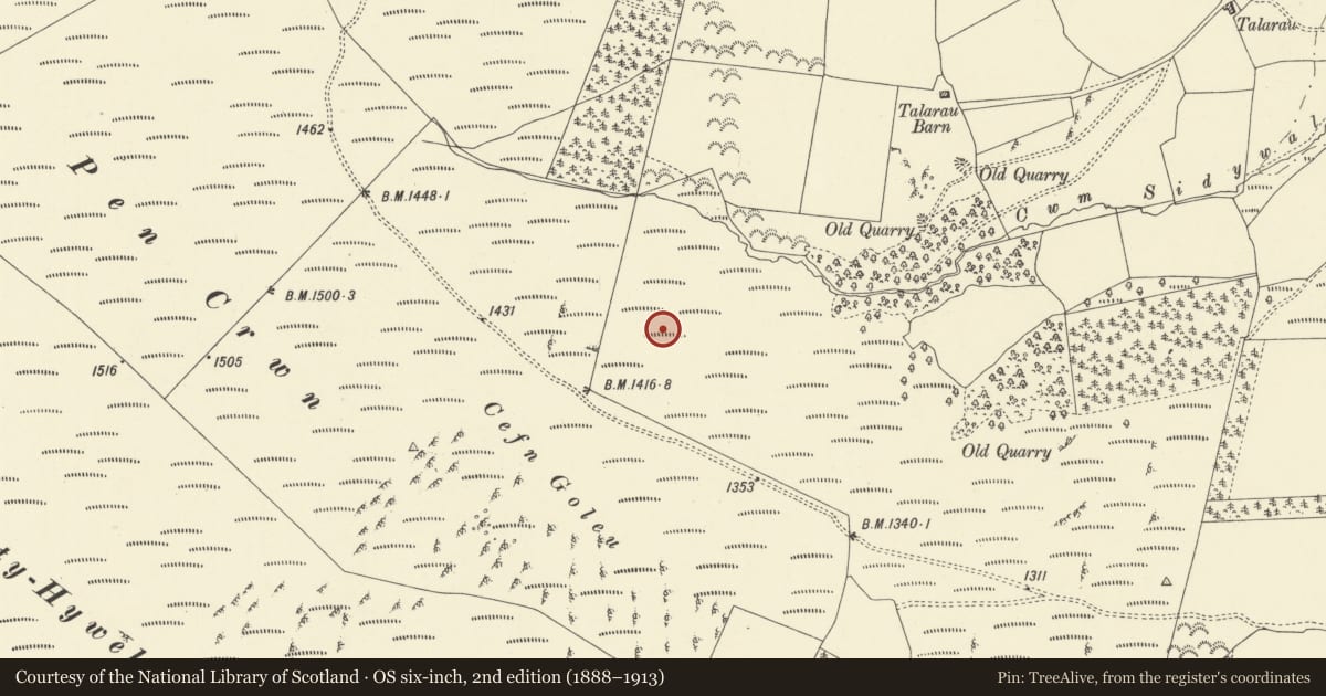 Ordnance Survey six-inch map, 2nd edition (1888–1913) covering the location of Cwm Sidywal settlements, St. Harmon, Powys, with a pin at the register's coordinates