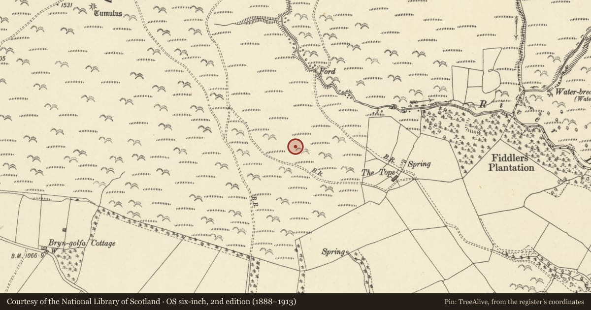 Ordnance Survey six-inch map, 2nd edition (1888–1913) covering the location of Rhos-crug hut platform (E), Llanbister, Powys, with a pin at the register's coordinates
