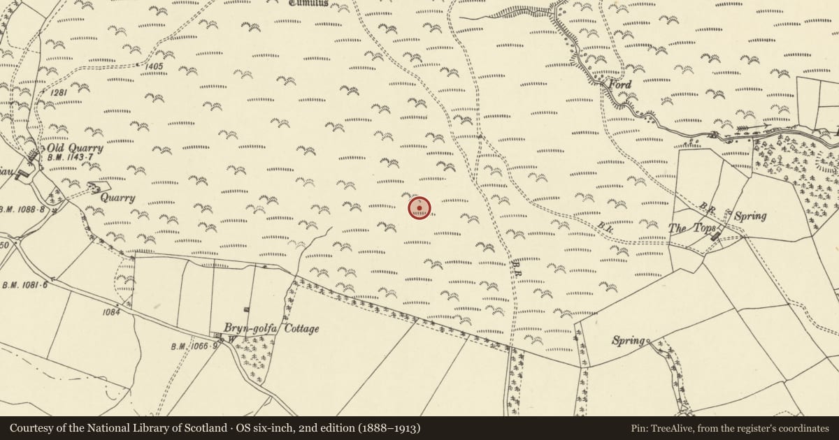 Ordnance Survey six-inch map, 2nd edition (1888–1913) covering the location of Rhos-crug hut platform (W), Llanbister, Powys, with a pin at the register's coordinates