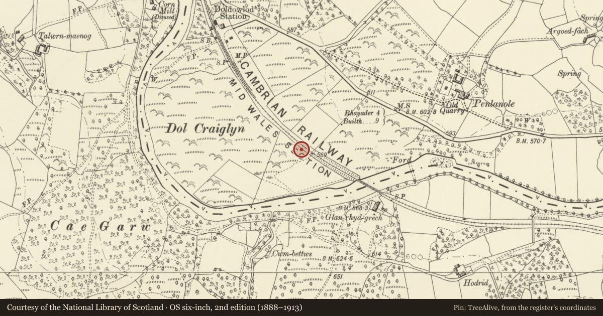 Ordnance Survey six-inch map, 2nd edition (1888–1913) covering the location of Doldowlod Pillbox, Nantmel, Powys, with a pin at the register's coordinates