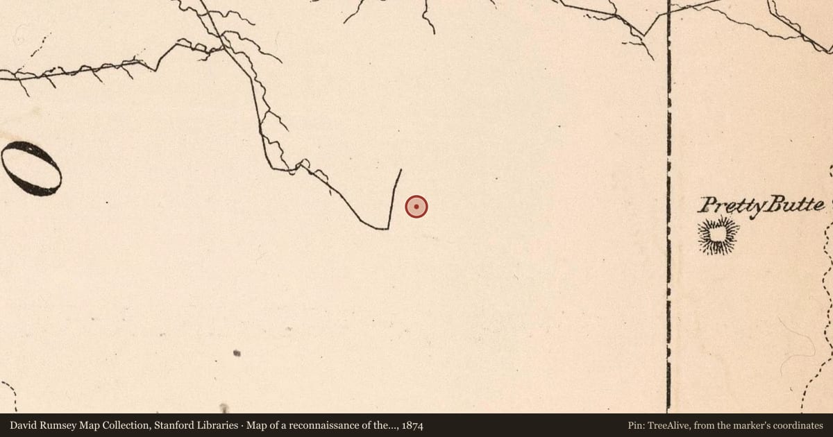 Map of a reconnaissance of the Black Hills of Dakota, July and August 1874, 1874, covering the location of Wagon Road, with a pin at the marker's coordinates
