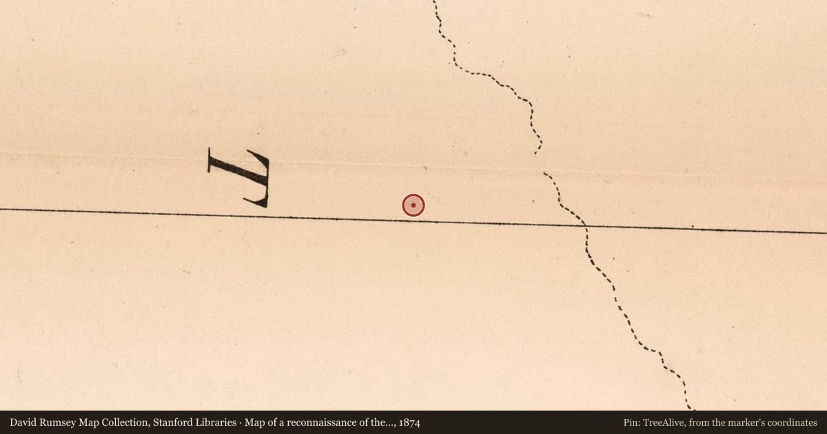 Map of a reconnaissance of the Black Hills of Dakota, July and August 1874, 1874, covering the location of The Medicine Rocks, with a pin at the marker's coordinates