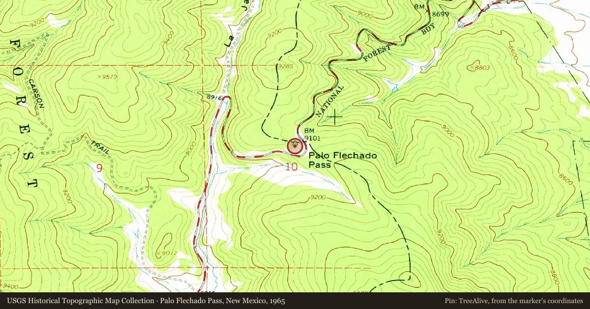 Palo Flechado Pass, New Mexico, 1965, covering the location of Palo Flechado Pass (1), with a pin at the marker's coordinates