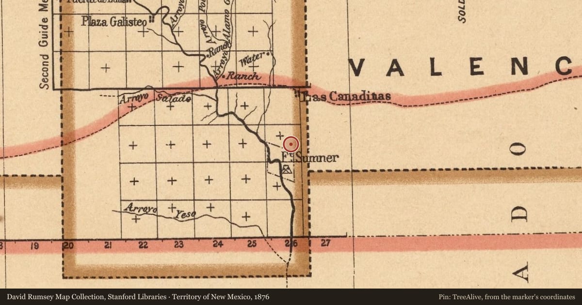 Territory of New Mexico, 1876, covering the location of Old Fort Sumner Cemetery and Billy the Kid's Grave (1), with a pin at the marker's coordinates