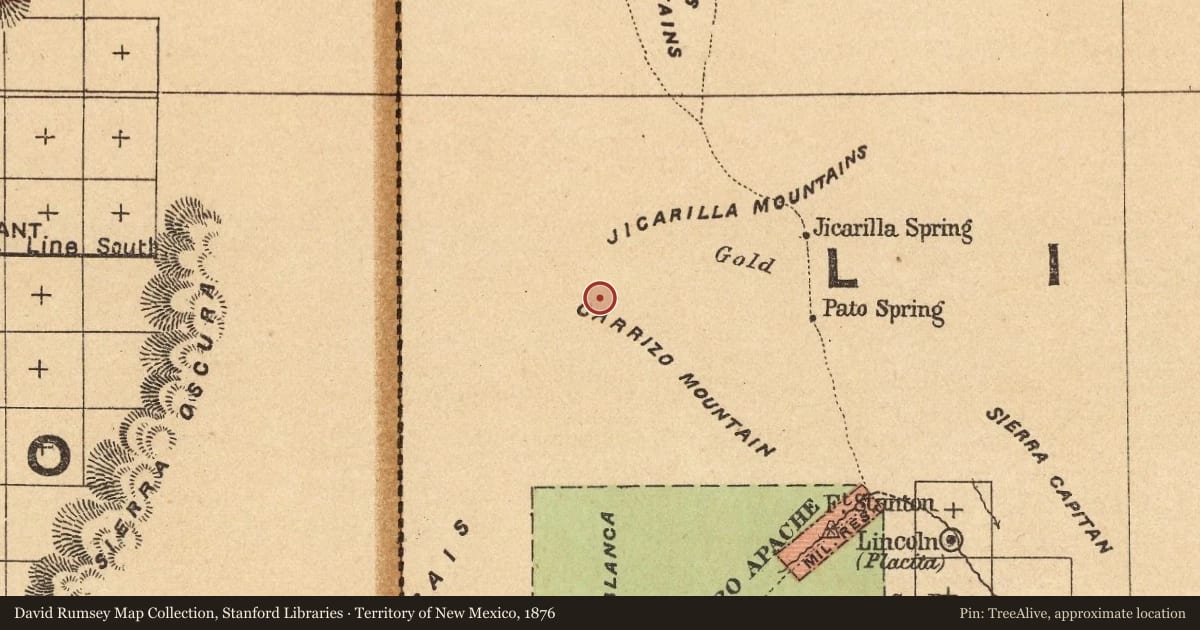 Territory of New Mexico, 1876, covering the location of White Oaks, with a pin at the marker's coordinates