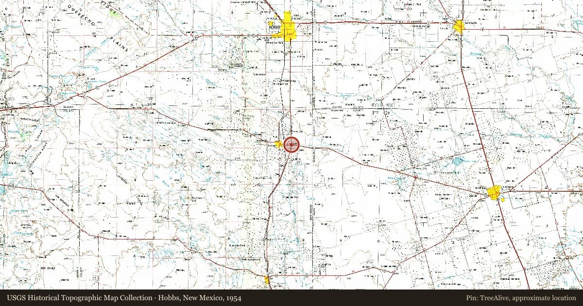 Hobbs, New Mexico, 1954, covering the location of Llano Estacado and Oil, with a pin at the marker's coordinates