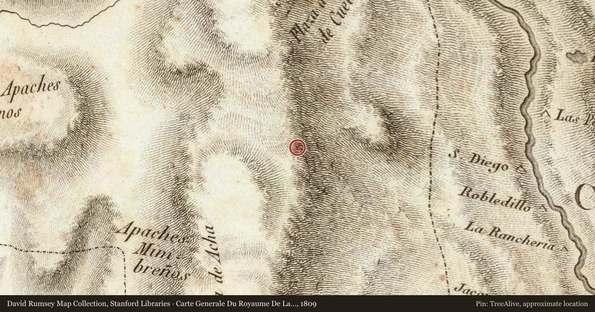 Carte Generale Du Royaume De La Nouvelle Espagne, 1809, covering the location of Silver City, with a pin at the marker's coordinates
