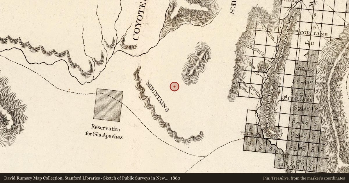 Sketch of Public Surveys in New Mexico 1860, 1860, covering the location of Pinos Altos, with a pin at the marker's coordinates
