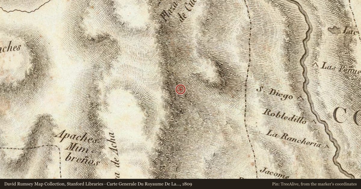 Carte Generale Du Royaume De La Nouvelle Espagne, 1809, covering the location of Bayard, with a pin at the marker's coordinates