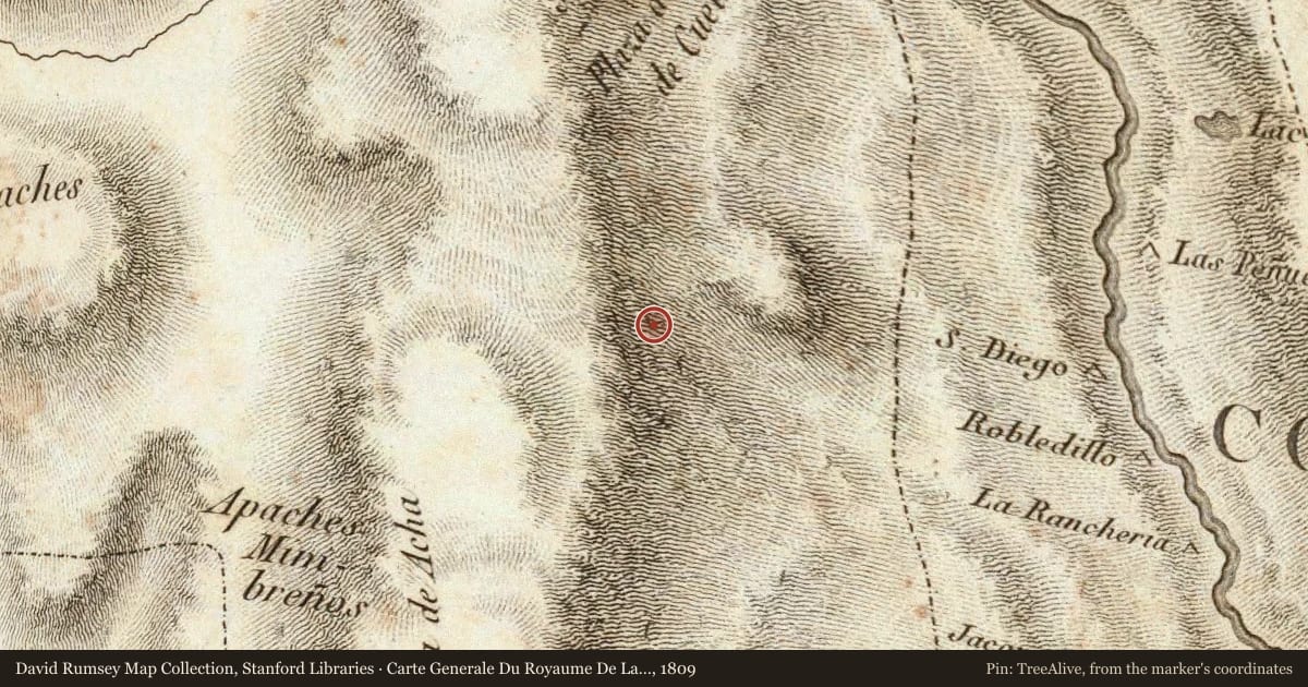 Carte Generale Du Royaume De La Nouvelle Espagne, 1809, covering the location of Santa Rita Copper Mines, with a pin at the marker's coordinates