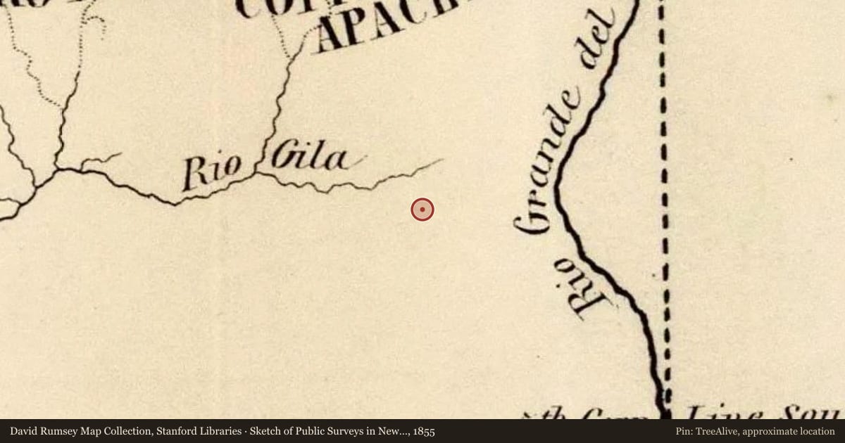 Sketch of Public Surveys in New Mexico 1855, 1855, covering the location of Emory Pass, with a pin at the marker's coordinates