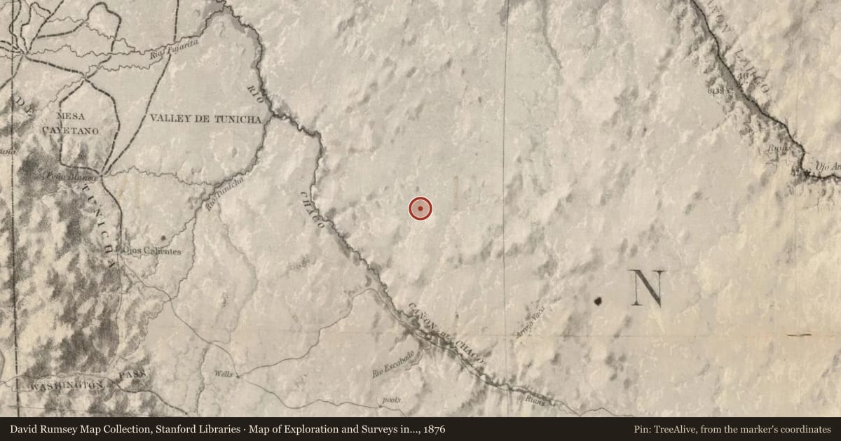 Map of Exploration and Surveys in New Mexico and Utah, 1876, covering the location of Bisti/De-Na-Zin Wilderness, with a pin at the marker's coordinates