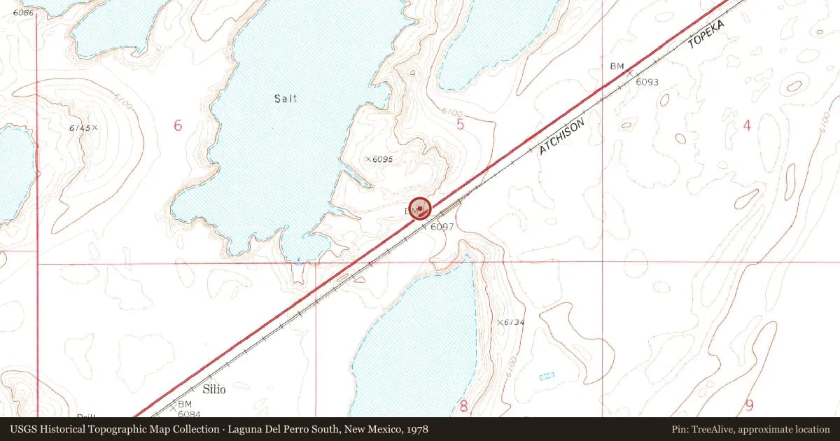 Laguna Del Perro South, New Mexico, 1978, covering the location of Salt Lakes and Laguna del Perro, with a pin at the marker's coordinates