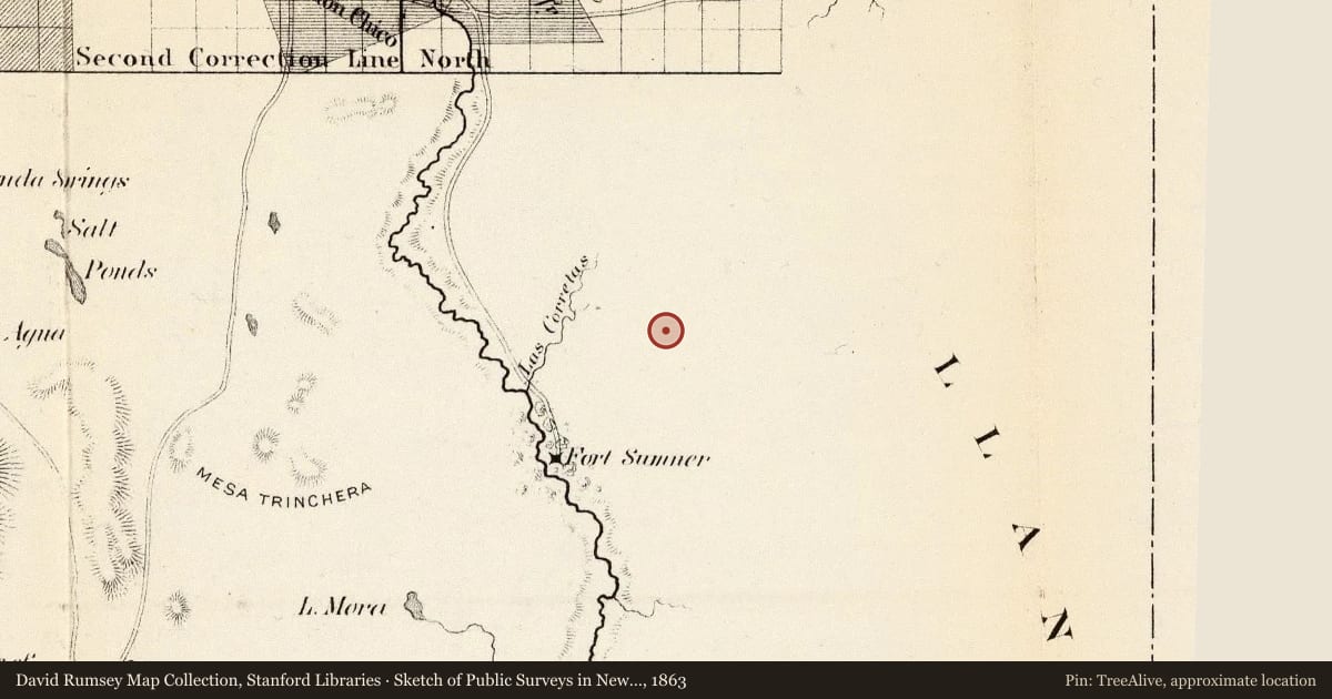 Sketch of Public Surveys in New Mexico 1863, 1863, covering the location of Fort Sumner (1), with a pin at the marker's coordinates