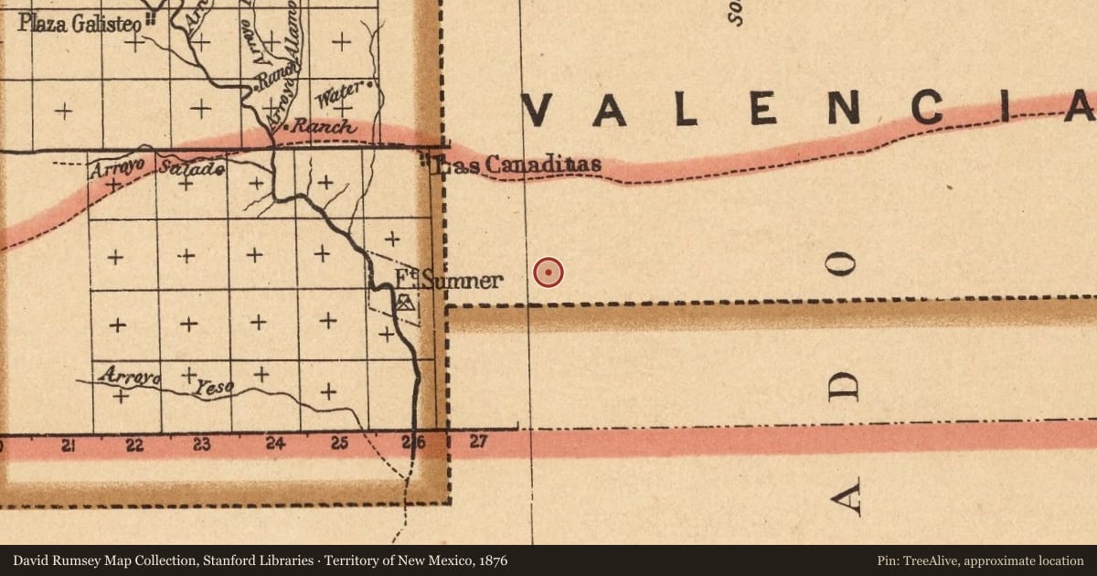 Territory of New Mexico, 1876, covering the location of Stinking Springs, with a pin at the marker's coordinates
