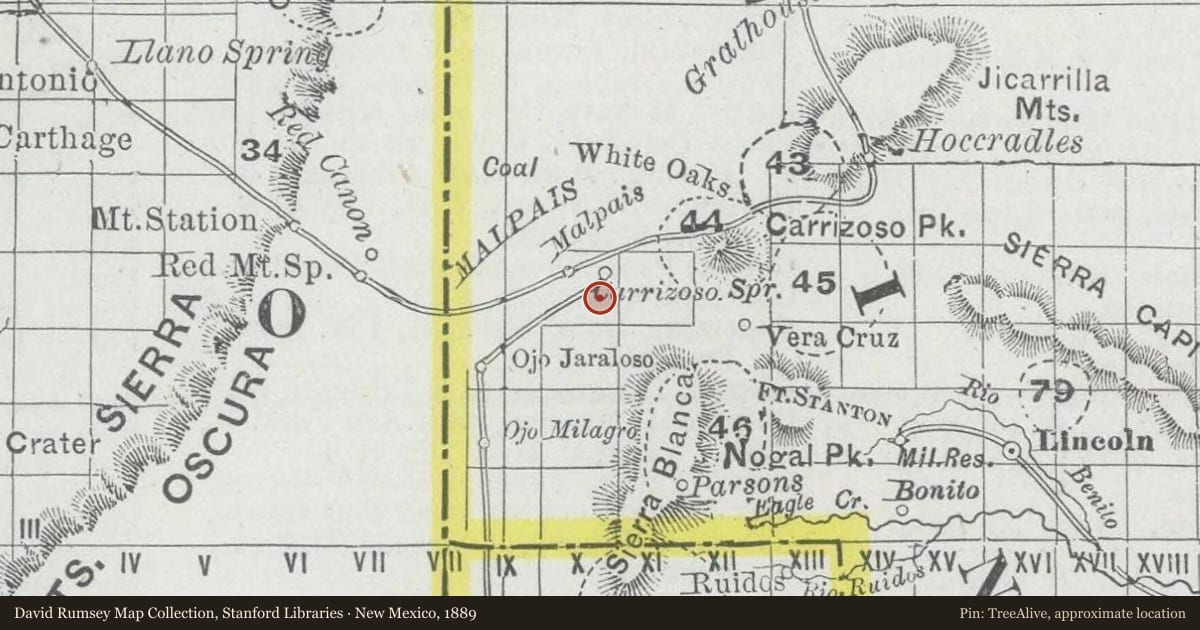 New Mexico, 1889, covering the location of Carrizozo (1), with a pin at the marker's coordinates