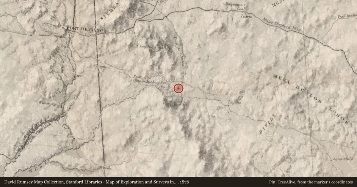 Map of Exploration and Surveys in New Mexico and Utah, 1876, covering the location of Gallup (1), with a pin at the marker's coordinates