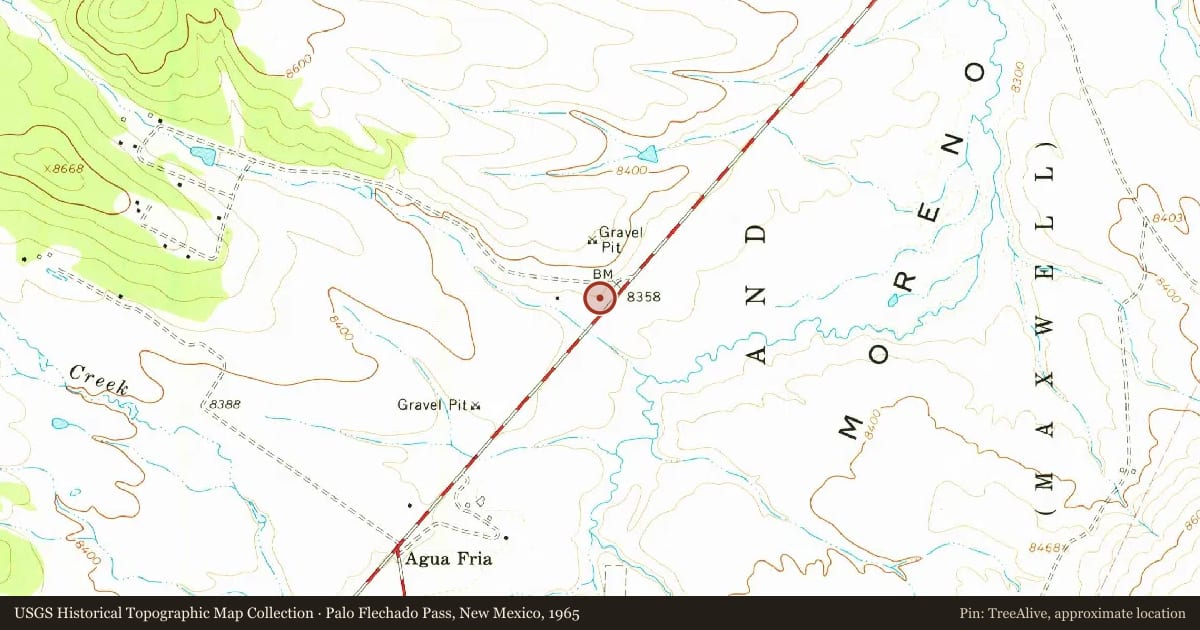 Palo Flechado Pass, New Mexico, 1965, covering the location of Vietnam Veterans Memorial State Park, with a pin at the marker's coordinates