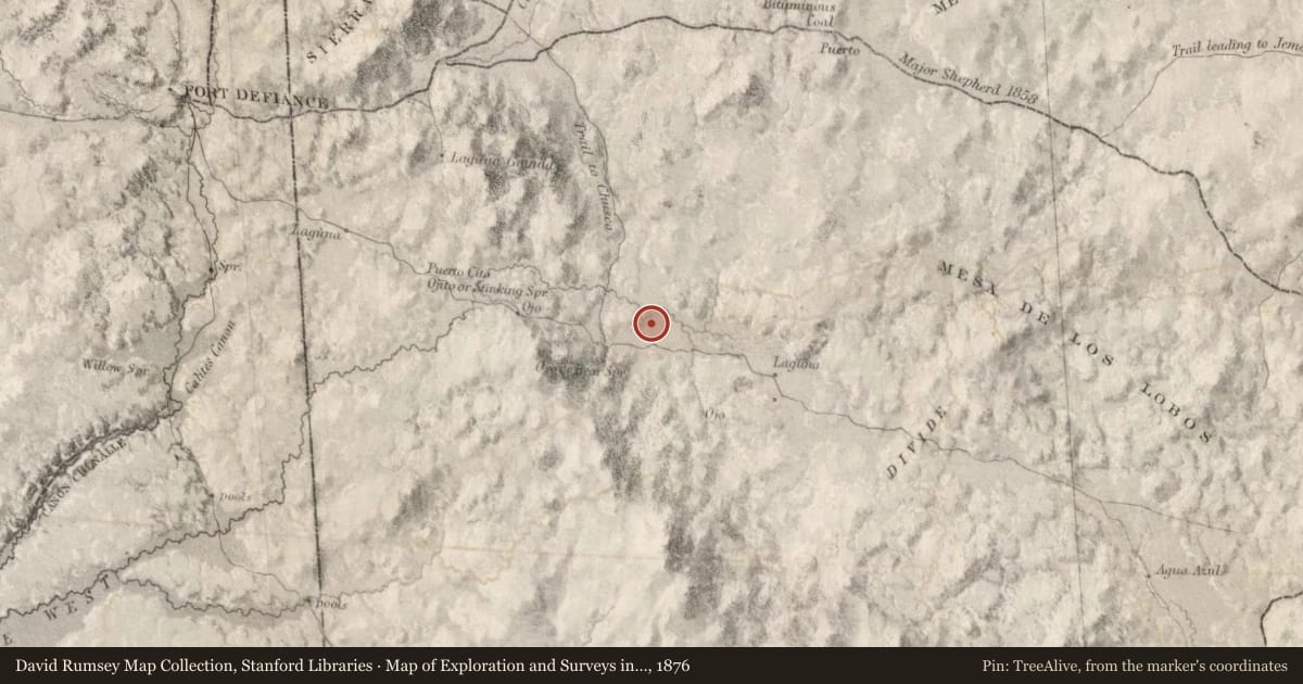 Map of Exploration and Surveys in New Mexico and Utah, 1876, covering the location of Fort Wingate, with a pin at the marker's coordinates