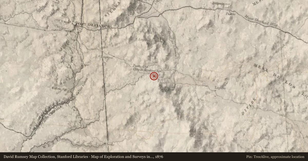 Map of Exploration and Surveys in New Mexico and Utah, 1876, covering the location of Gallup (2), with a pin at the marker's coordinates