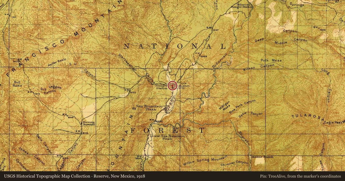 Reserve, New Mexico, 1918, covering the location of Reserve, with a pin at the marker's coordinates