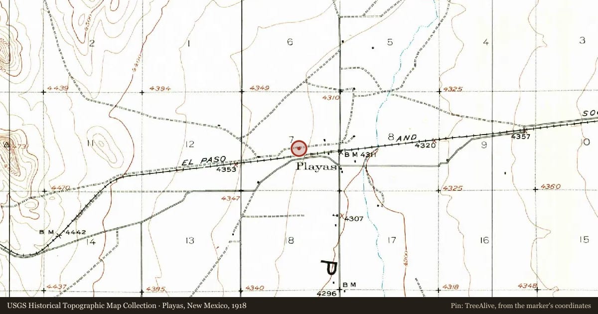 Playas, New Mexico, 1918, covering the location of Playas Siding, with a pin at the marker's coordinates