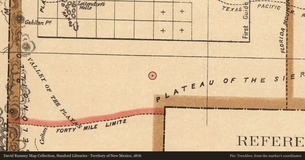 Territory of New Mexico, 1876, covering the location of Hachita, with a pin at the marker's coordinates