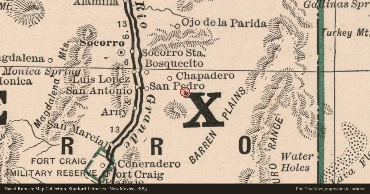New Mexico, 1883, covering the location of Carthage-Tokay-Fraley, with a pin at the marker's coordinates