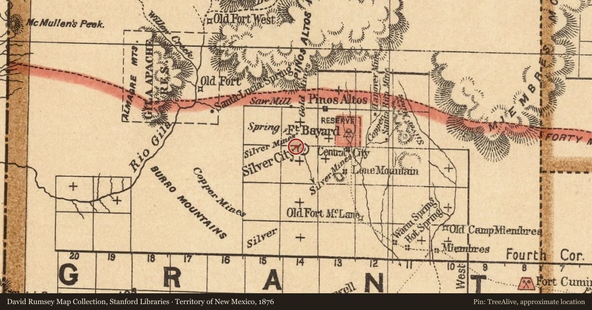 Territory of New Mexico, 1876, covering the location of Old Silver City "Memory Lane" Established ca. 1882, with a pin at the marker's coordinates
