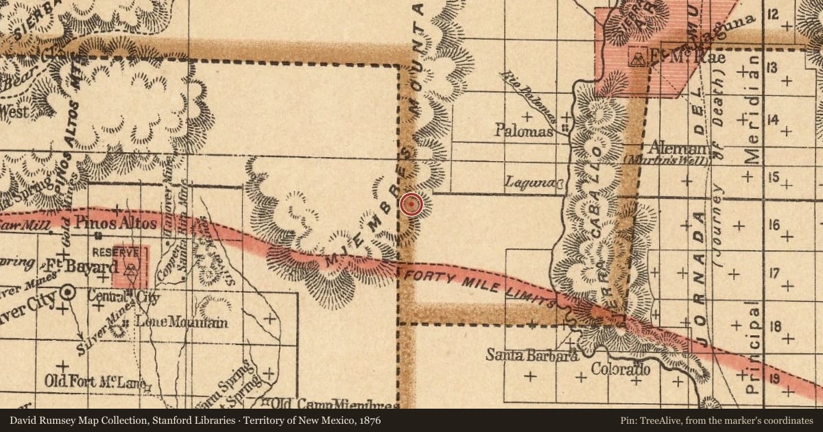 Territory of New Mexico, 1876, covering the location of Hillsboro Historic District, with a pin at the marker's coordinates